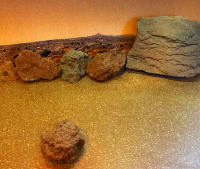 The Mars exhibit has many Mars rocks. A few of the rocks are hollow inside and have an infrared lamp inside so the rock emits infrared energy. The visitor's objective is to drive the Rover around the Mars exhibit and find the hidden, infrared-emitting rocks.